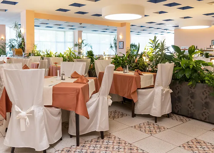 Bourgas 4* Солнечный берег